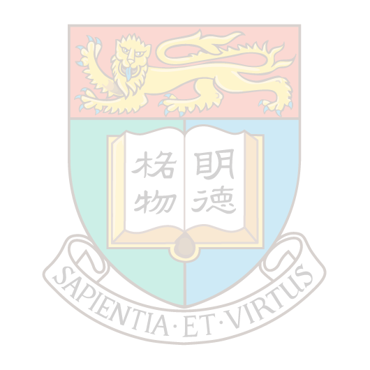 香港大學公民社會與治理研究中心