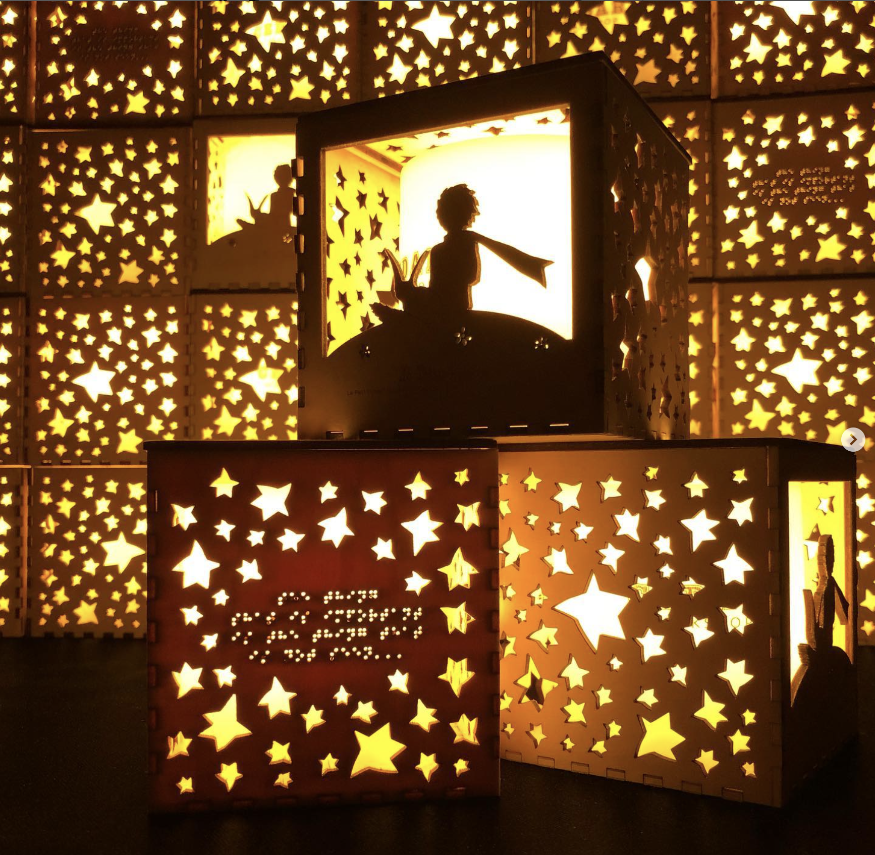 【Cedar Workshop】培育視障人才，共建共融社會