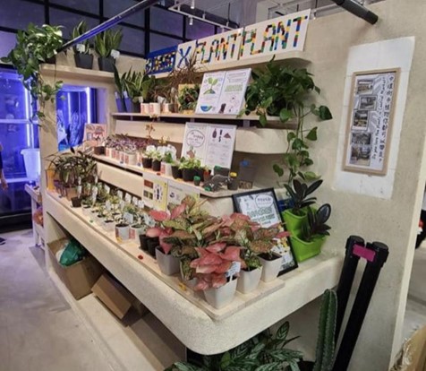 與 Plant Plant 的合作活動